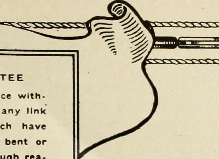 An illustration from Canadian jeweller 1920, 1920, leaf 964
