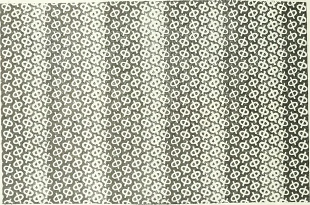 An illustration from Canadian textile journal, 1908, leaf 119