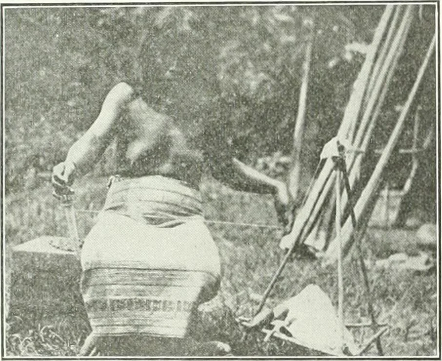 An illustration from Canadian textile journal, 1908, leaf 339
