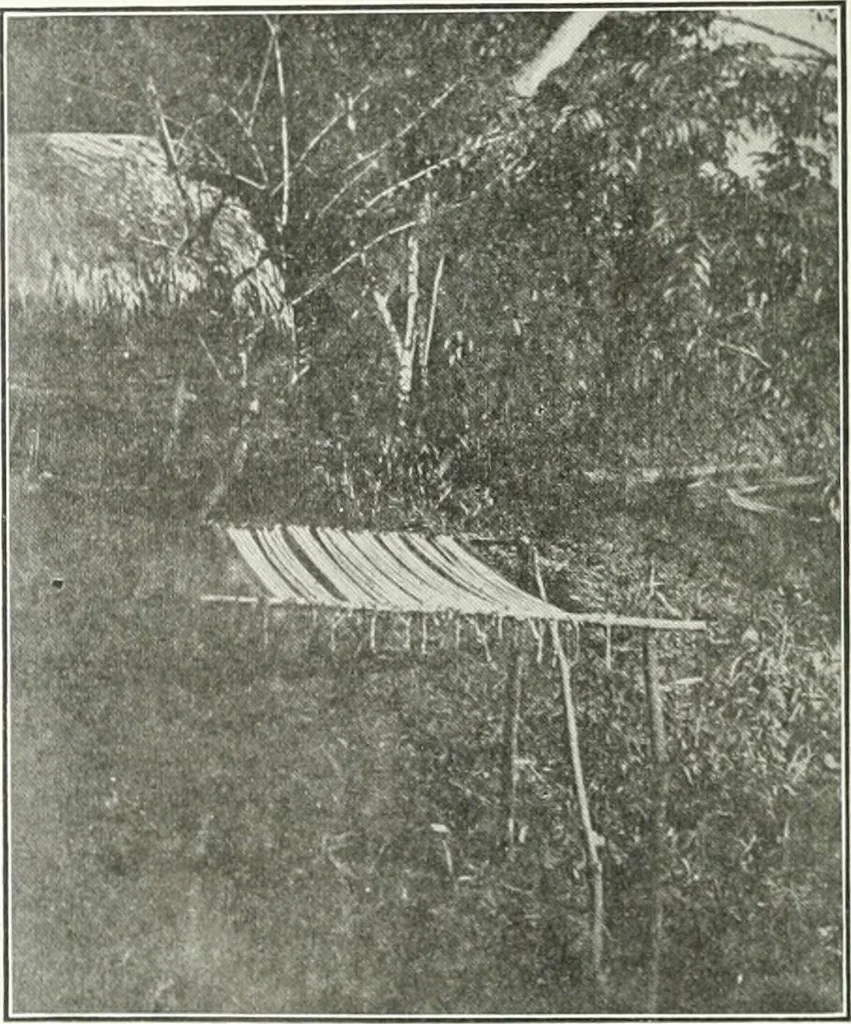 An illustration from Canadian textile journal, 1908, leaf 339