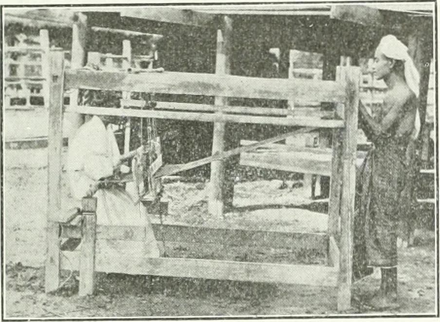 An illustration from Canadian textile journal, 1908, leaf 341