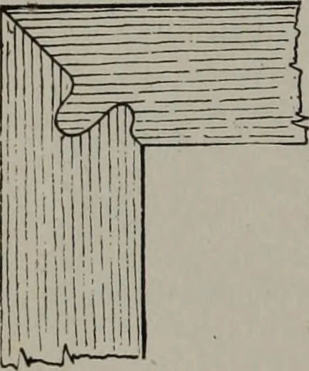 An illustration from Canadian wood products industries, 1913, leaf 305