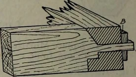 An illustration from Canadian wood products industries, 1913, leaf 351