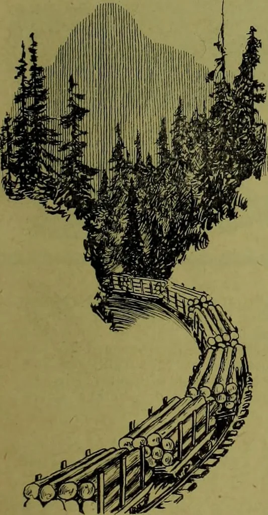 An illustration from Canadian wood products industries, 1913, leaf 370