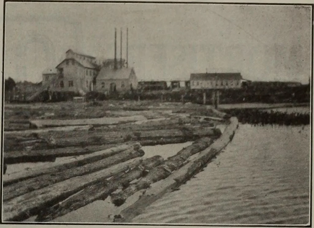 An illustration from Canadian wood products industries, 1913, leaf 374