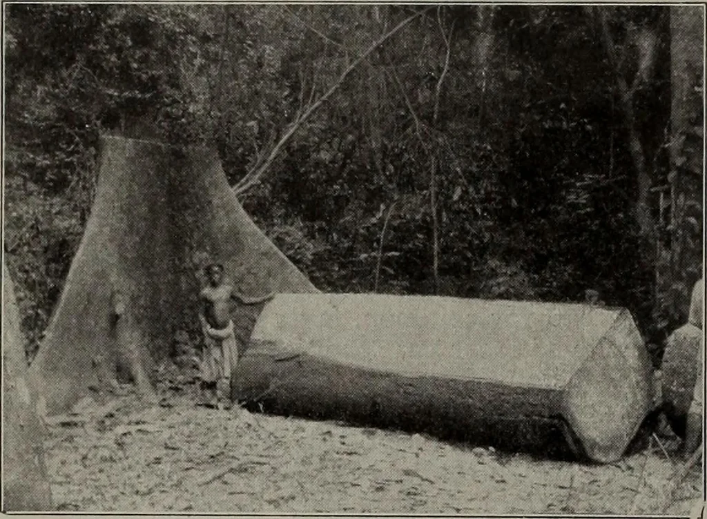 An illustration from Canadian wood products industries, 1913, leaf 501