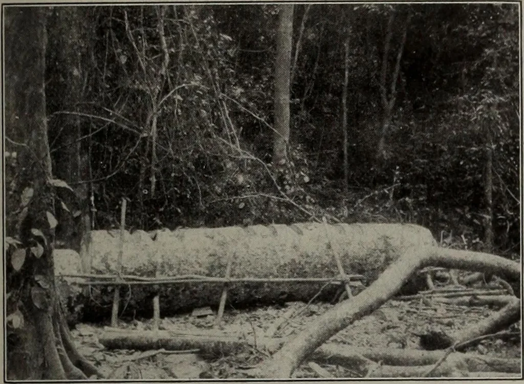 An illustration from Canadian wood products industries, 1913, leaf 502
