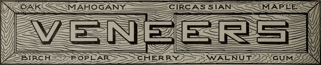 An illustration from Canadian wood products industries, 1913, leaf 511