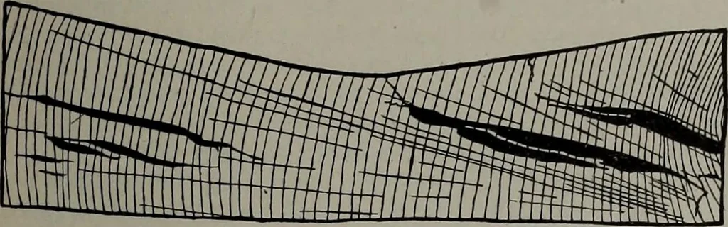 An illustration from Canadian wood products industries, 1913, leaf 596
