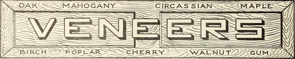 An illustration from Canadian wood products industries, 1914, leaf 129