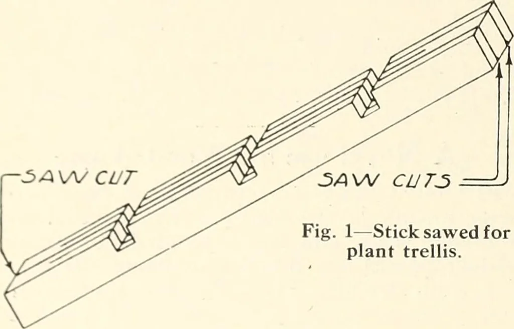 An illustration from Canadian wood products industries, 1914, leaf 183