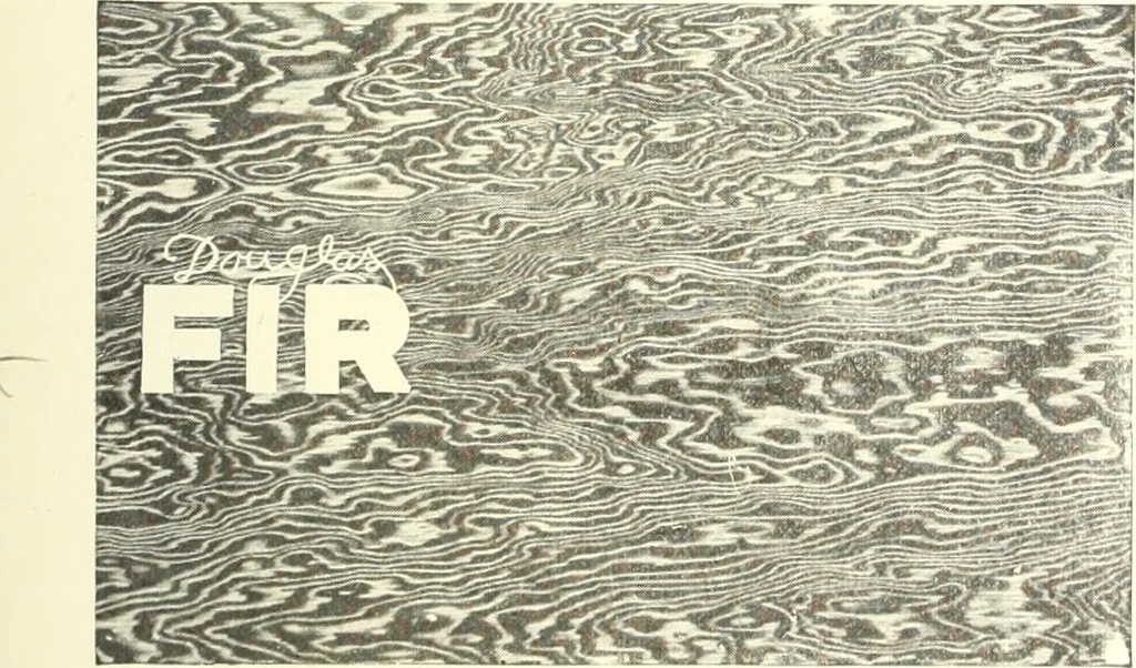 An illustration from Canadian wood products industries, 1914, leaf 184