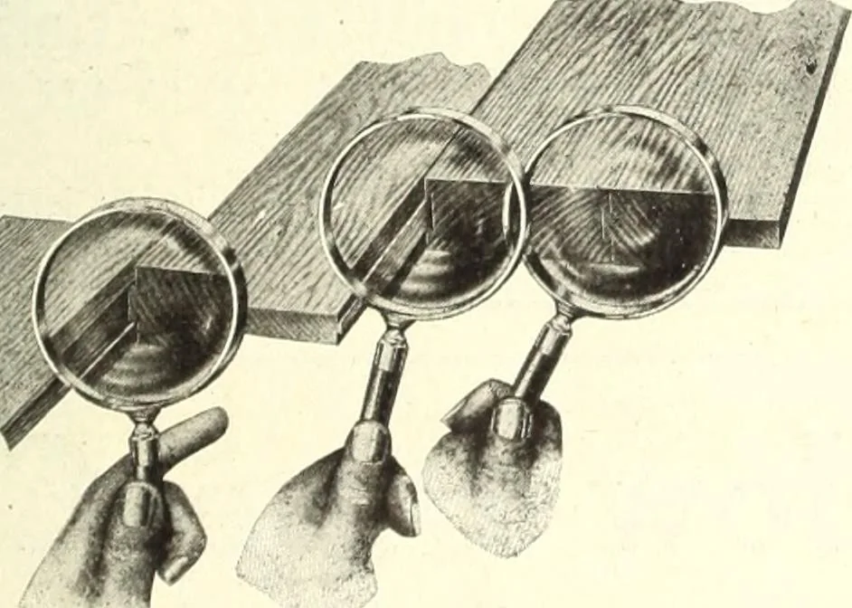 An illustration from Canadian wood products industries, 1914, leaf 300