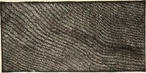 An illustration from Canadian wood products industries, 1914, leaf 345