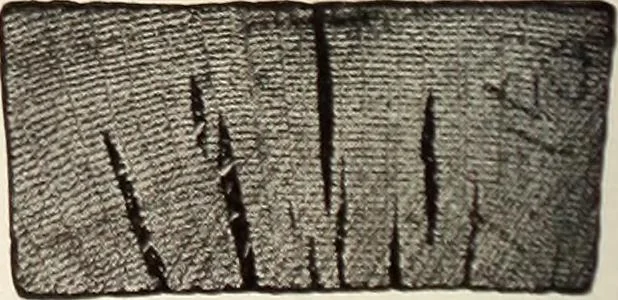 An illustration from Canadian wood products industries, 1914, leaf 345