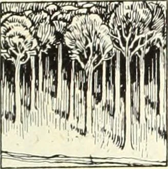 An illustration from Canadian wood products industries, 1914, leaf 350