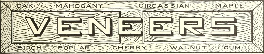 An illustration from Canadian wood products industries, 1914, leaf 404