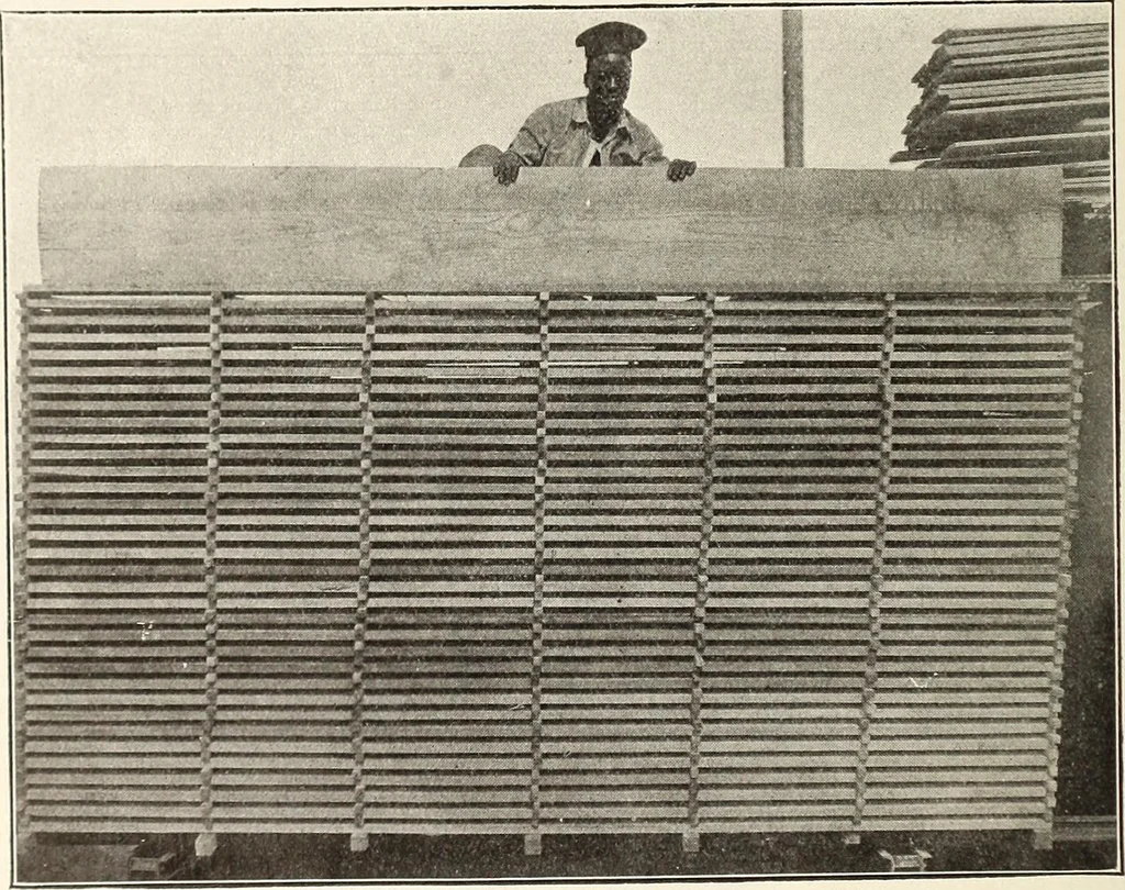 An illustration from Canadian wood products industries, 1914, leaf 587