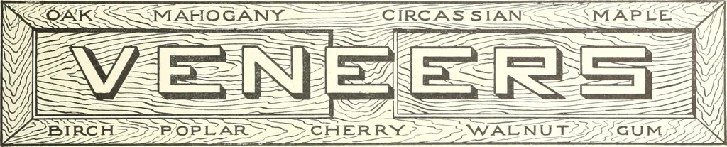 An illustration from Canadian wood products industries, 1914, leaf 60