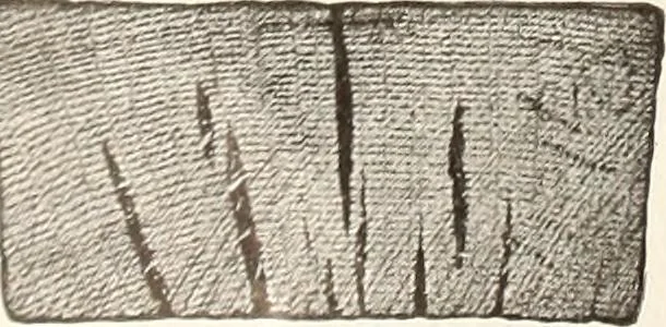 An illustration from Canadian wood products industries, 1914, leaf 605