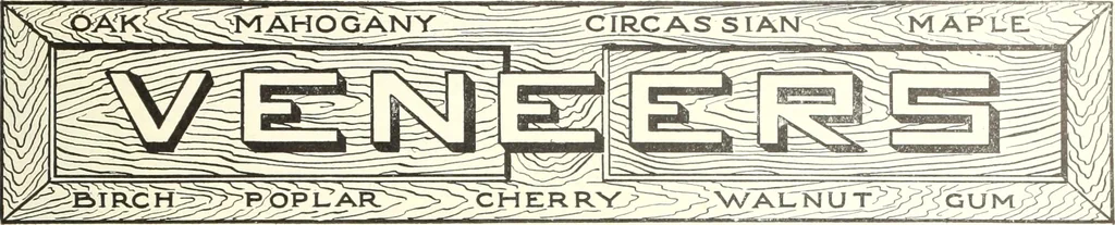 An illustration from Canadian wood products industries, 1914, leaf 62