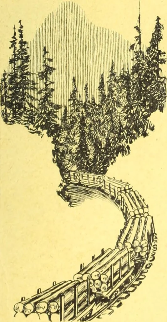 An illustration from Canadian wood products industries, 1914, leaf 722