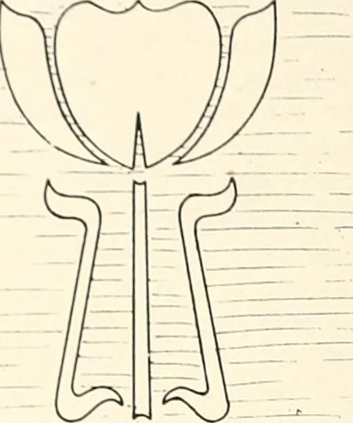 An illustration from Canadian wood products industries, 1914, leaf 99
