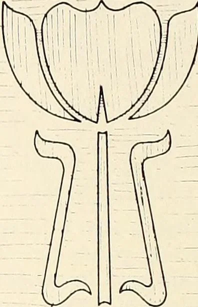 An illustration from Canadian wood products industries, 1914, leaf 99