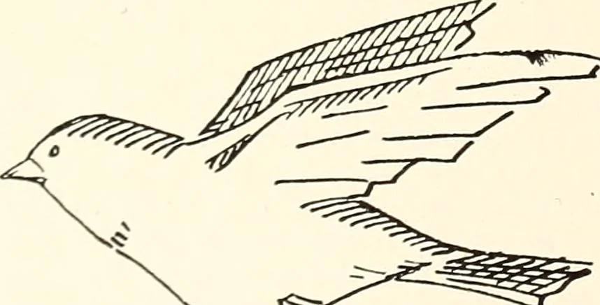 An illustration from Canadian wood products industries, 1914, leaf 99