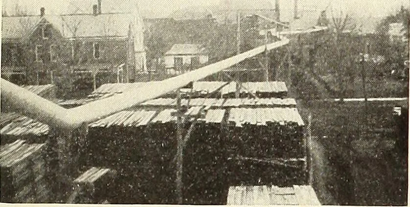 An illustration from Canadian wood products industries, 1915, leaf 10