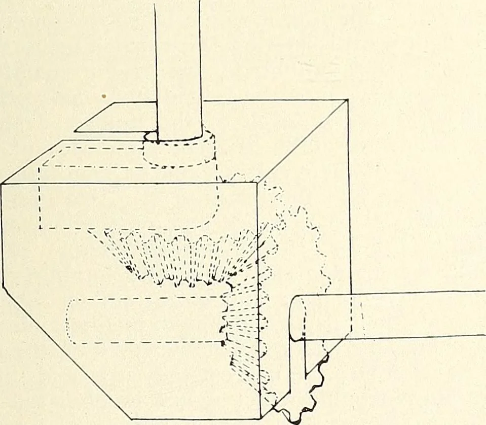 An illustration from Canadian wood products industries, 1915, leaf 20