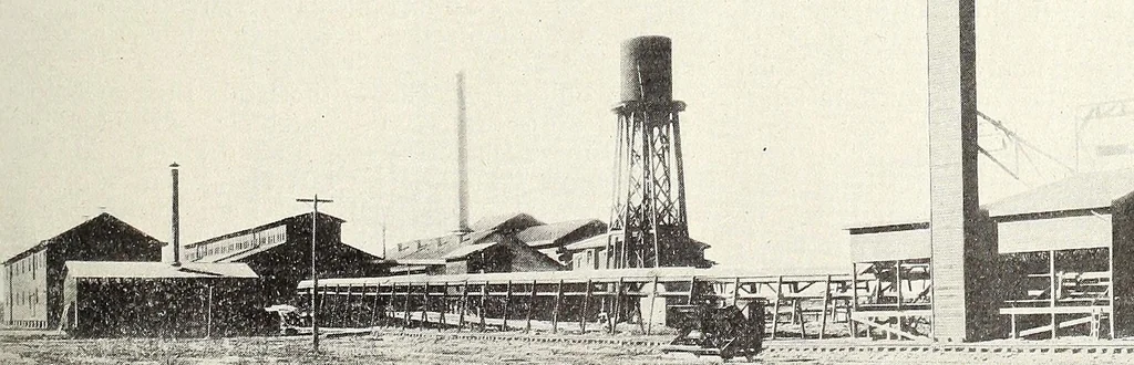 An illustration from Canadian wood products industries, 1915, leaf 216