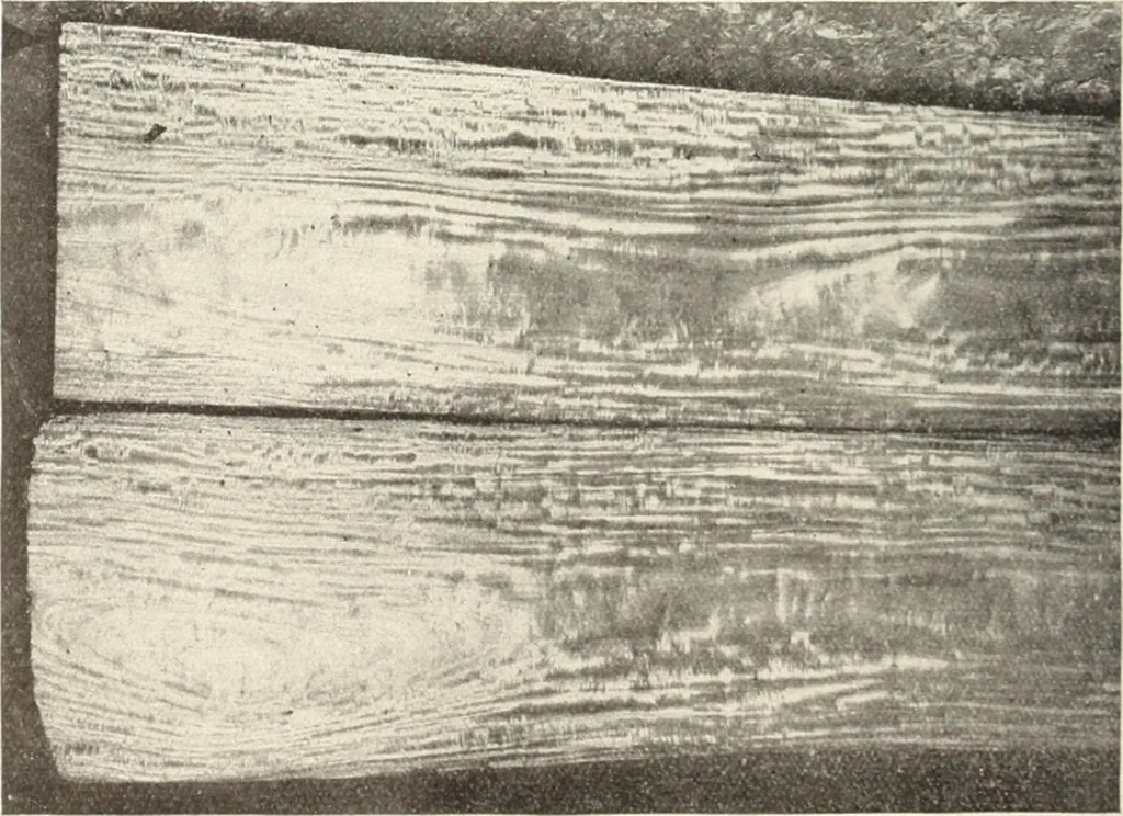 An illustration from Canadian wood products industries, 1915, leaf 29