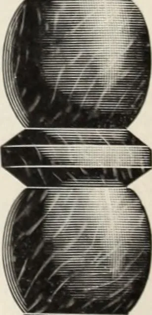 An illustration from Canadian wood products industries, 1915, leaf 305