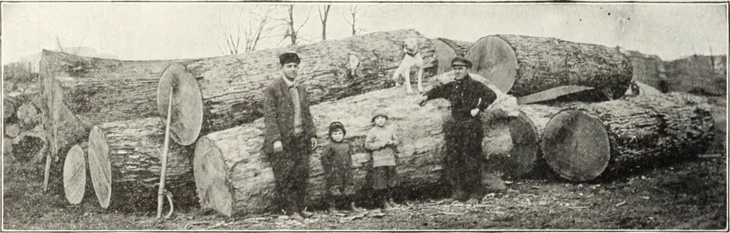 An illustration from Canadian wood products industries, 1915, leaf 399
