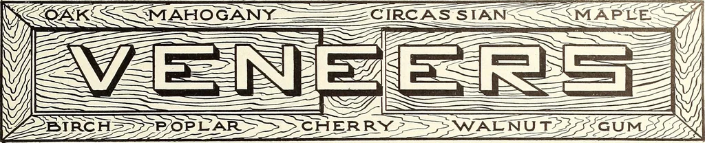 An illustration from Canadian wood products industries, 1915, leaf 40