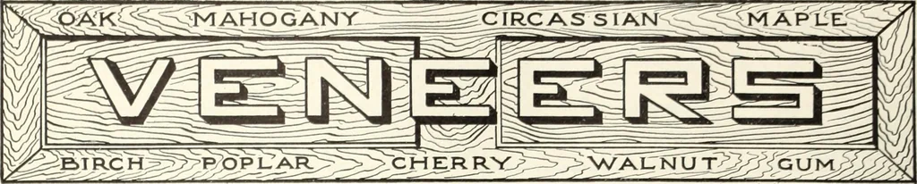 An illustration from Canadian wood products industries, 1915, leaf 41