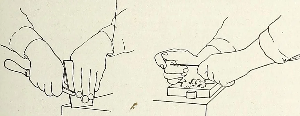 An illustration from Canadian wood products industries, 1915, leaf 432