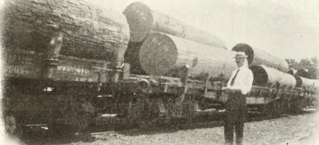 An illustration from Canadian wood products industries, 1915, leaf 449