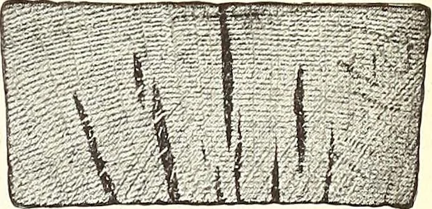 An illustration from Canadian wood products industries, 1915, leaf 46