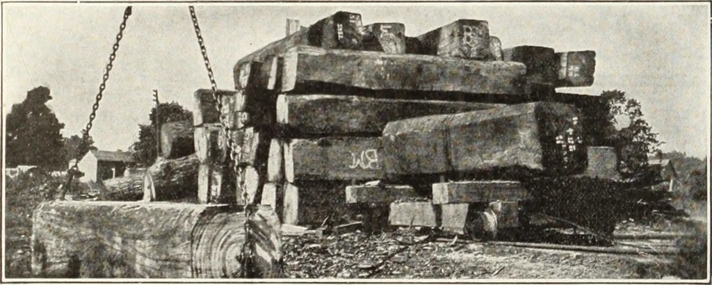 An illustration from Canadian wood products industries, 1915, leaf 497