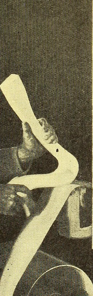 An illustration from Canadian wood products industries, 1915, leaf 558