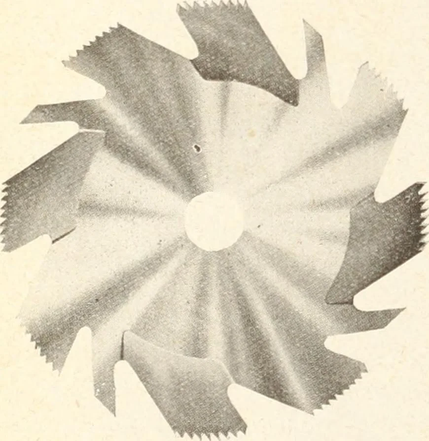 An illustration from Canadian wood products industries, 1915, leaf 565