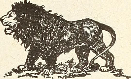An illustration from Canadian wood products industries, 1915, leaf 570