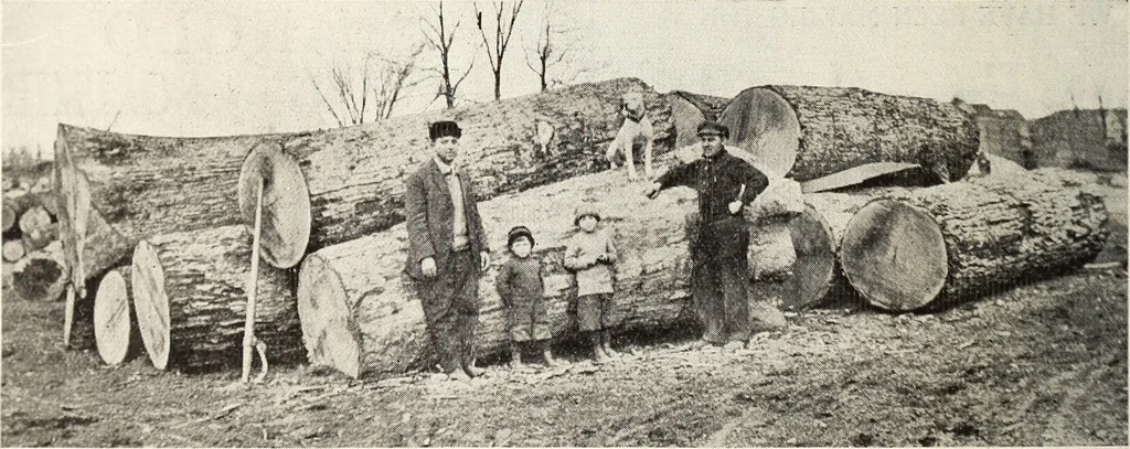 An illustration from Canadian wood products industries, 1916, leaf 139
