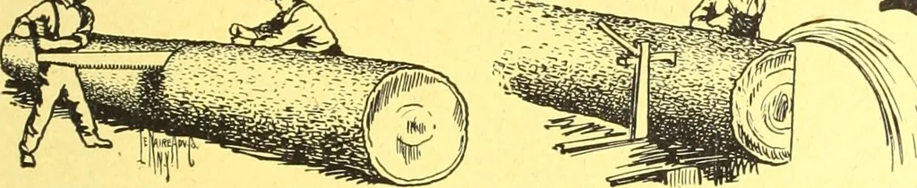 An illustration from Canadian wood products industries, 1916, leaf 270