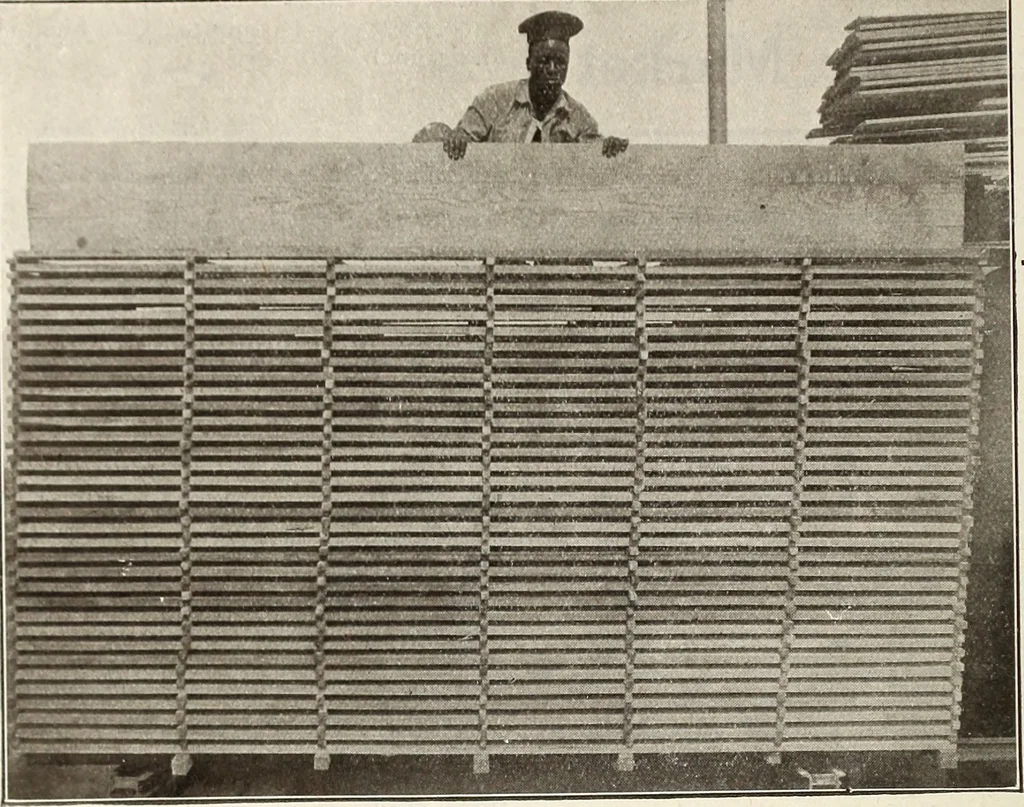 An illustration from Canadian wood products industries, 1916, leaf 359