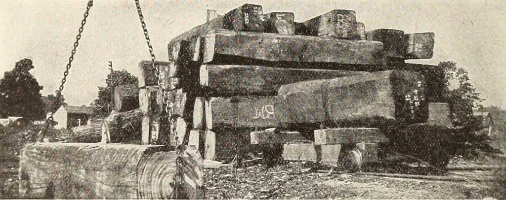 An illustration from Canadian wood products industries, 1916, leaf 37