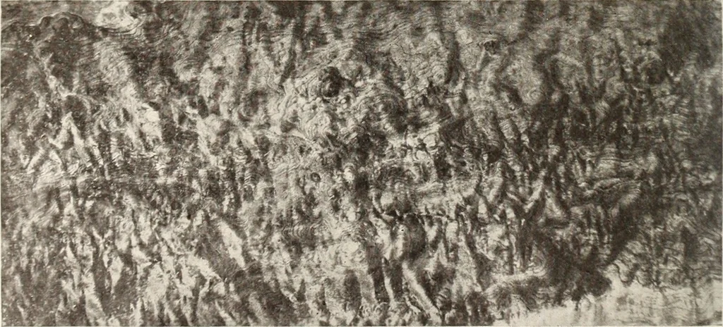 An illustration from Canadian wood products industries, 1916, leaf 421
