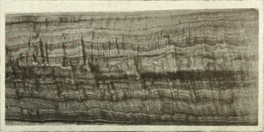 An illustration from Canadian wood products industries, 1916, leaf 424